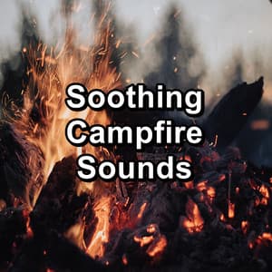 Soothing Campfire Sounds - Fire Sounds Sleep