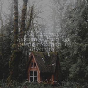 50 Canciones Relajantes Para Un Sueño Profundo Y Bienestar - kinderliedjes