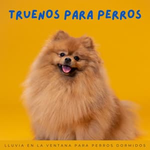 Truenos Para Perros: Lluvia En La Ventana Para Perros Dormidos - Ritmos lofi