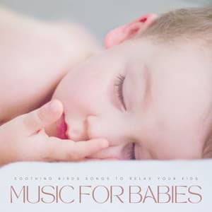 Music For Babies: Soothing Birds Songs To Relax Your Kids - Grey Noise Baby Sleep