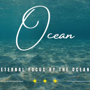 Oceanic Clarity: Binaural Waves for Focus - Ocean Sleep Sounds