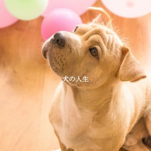 犬の人生 - Bebop Jazz