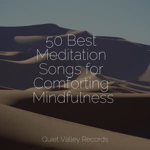 50 Best Meditation Songs for Comforting Mindfulness - Water Spa