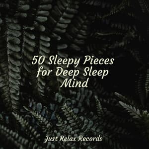50 Sleepy Pieces for Deep Sleep Mind - Música Relajante para Bebés