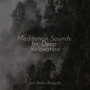 Meditation Sounds for Deep Relaxation - Relajación