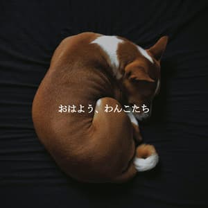 おはよう、わんこたち - Slow Relaxing Jazz