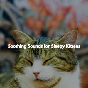 Soothing Sounds for Sleepy Kittens - Musica de Jazz para Hoteles