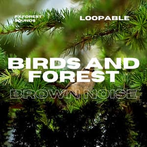 Birds and Forest Sounds for Relaxation with Brown Noise, Loopable - FX Forest Sounds
