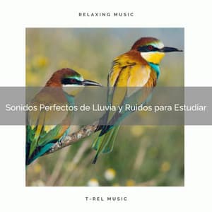 Sonidos Perfectos de Lluvia y Ruidos para Estudiar - Ruido Blanco