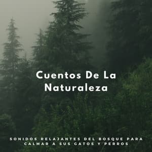 Cuentos De La Naturaleza: Sonidos Relajantes Del Bosque Para Calmar A Sus Gatos Y Perros - Sonidos de la Naturaleza Relajacion
