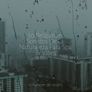 50 Relajantes Sonidos De La Naturaleza Para Spa & Vibes - Rumbas de España