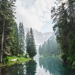 Streamside Harmony: Meditation's Peaceful Retreat - Waterfall White Noise