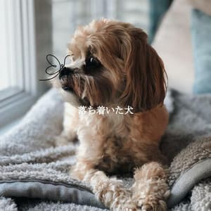 落ち着いた犬 - Bebop Jazz