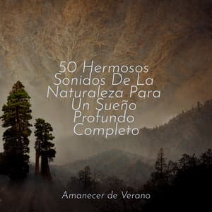 50 Hermosos Sonidos De La Naturaleza Para Un Sueño Profundo Completo - Dulces Sueños