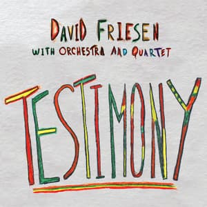 Testimony - David Friesen