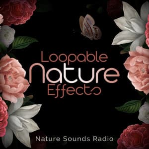 Loopable Nature Effects - Nature Sounds Radio