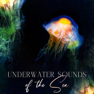 Underwater Sounds of the Sea - Pro Sound Effects Library