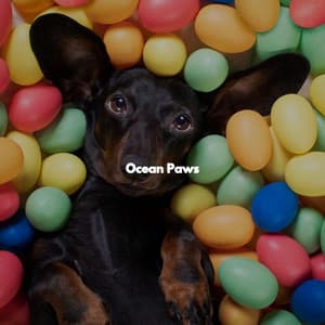 Ocean Paws - Sunday Brunch Music