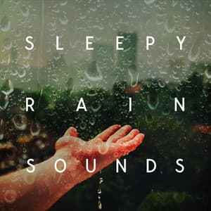 Sleepy Rain Sounds: Unwind in the Night - Best Relaxation Music