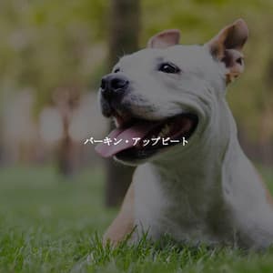 バーキン・アップビート - Jazz Classique