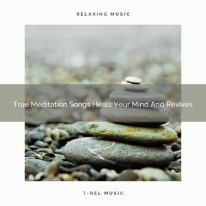 True Meditation Songs Heals Your Mind And Revives - Instant Relax