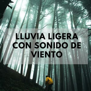 Lluvia Ligera Con Sonido De Viento - Música de día lluvioso