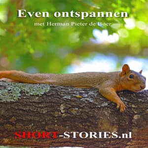 Even ontspannen - Herman Pieter De Boer
