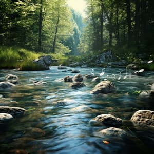 Water Calm: Binaural Stream Harmonies - Sound Bath