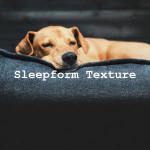 Sleepform Texture - Relaxing Puppy Music
