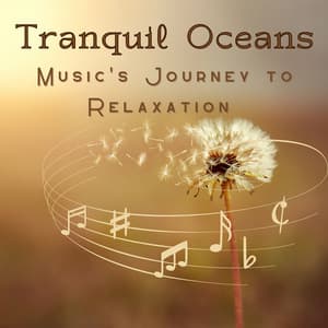 Tranquil Oceans - Music's Journey to Relaxation - Ocean Makers