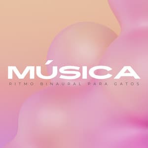 Música: Ritmo Binaural Para Gatos - Ecos Débiles