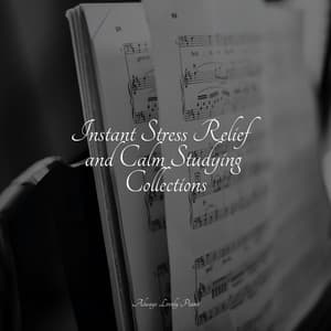 50 Comforting Sounds for Total Relaxation - Soothing Piano Collective