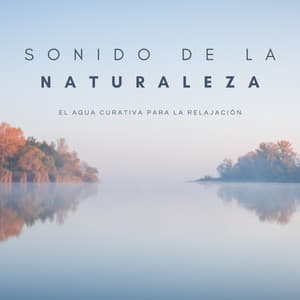 Sonido De La Naturaleza: El Agua Curativa Para La Relajación - Pájaros y Pajaritos