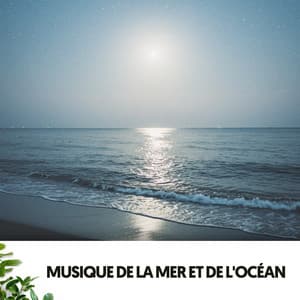 Musique de la Mer et de l'Océan: Mélodies de l'Horizon - Relajacion