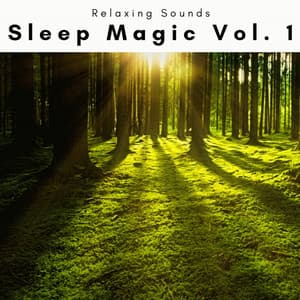 1 Sleep Magic Vol. 1 - Sleep Tech