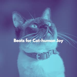 Beats for Cat-human Joy - Dinner Music Luxury