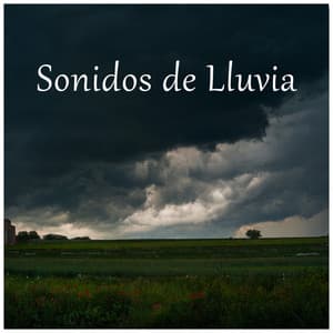 Sonidos de Lluvia - Sonidos De Truenos y Lluvia