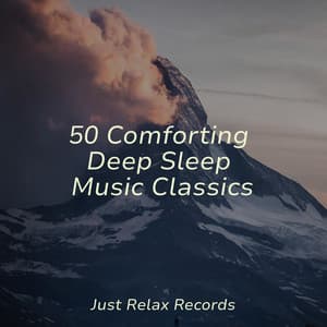 50 Comforting Deep Sleep Music Classics - Forest Sounds