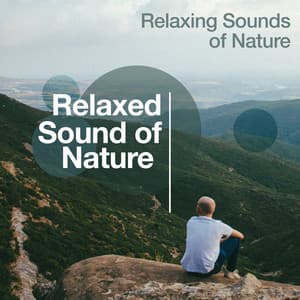 Relaxed Sound of Nature - Relaxing Sounds Of Nature