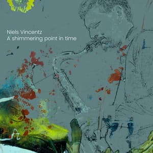 A Shimmering Point in Time - Niels Vincentz