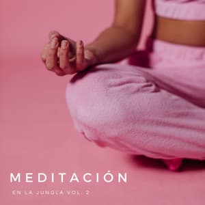 Meditación En La Jungla Vol. 2 - Dulces Sueños