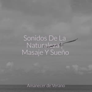 Sonidos De La Naturaleza | Masaje Y Sueño - Smart Baby Lullaby