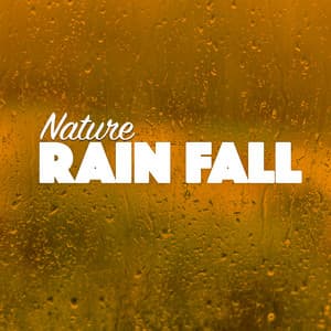 Nature Rainfall - Soothing White Noise for Relaxation