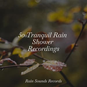50 Tranquil Rain Shower Recordings - Instrumental