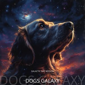 Galactic Nap Mission: Initiated - Dogs Galaxy