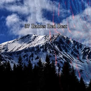 37 Babies Bed Rest - Baby Sleep Through the Night