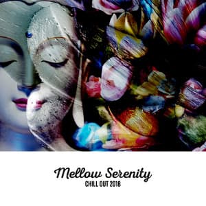 Mellow Serenity - Chill Out 2018