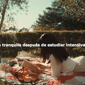 Música tranquila después de estudiar intensivamente - Montreal Jazz Duo