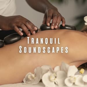Tranquil Soundscapes: Lofi Spa Serenity - Chill Hop Playlist