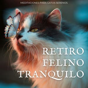 Retiro Felino Tranquilo: Meditaciones Para Gatos Serenos - Hipnosis Naturaleza Sonidos Universo